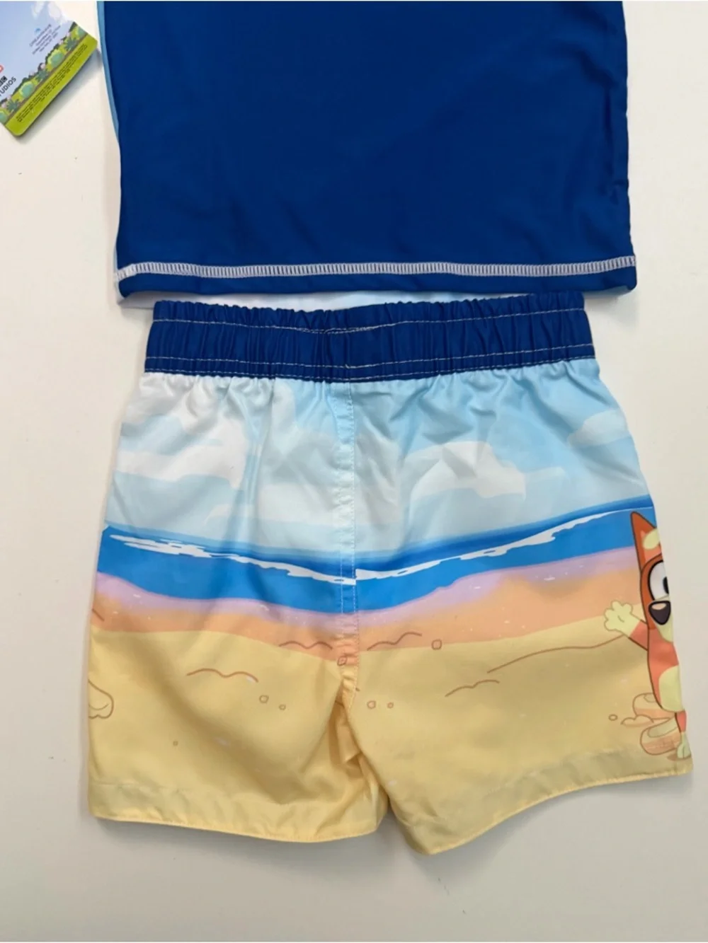 Bluey Rash Guard Swim Shorts Top 50+ UPF Travel Beach Pool Set 2 Kids 18 Month